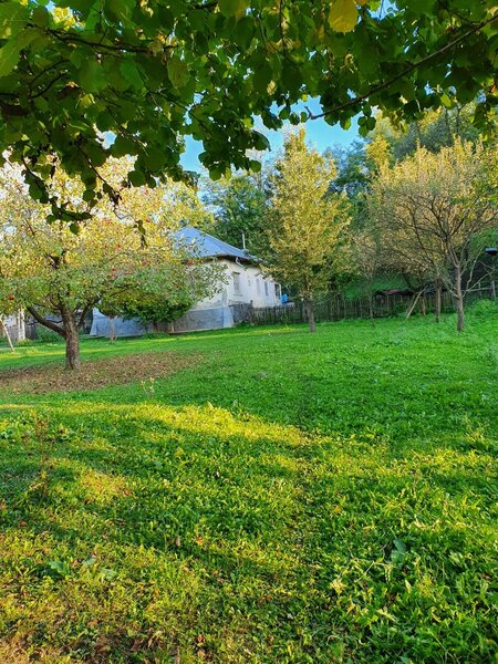 Pucioasa, Moreni, Valea Lunga, Sat Izvoru, 20.000 mp teren de vanzare